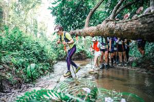 BIB: 
                            <button type="button" onclick="openModal(25475458)" class="btn btn-primary btn-sm float-right btn-popup" data-toggle="modal" data-target=".modal-high-quality">
                        <i class="fas fa-shopping-cart"></i> Add to Cart
                    </button>
                                            <button type="button" onclick="isThisMe(25475458, true)" class="btn btn-success btn-sm float-right btn-popup btn-isme hidden" data-toggle="tooltip" data-placement="bottom" title="นี่คือรูปของคุณใช่ไหม คลิกที่นี่เพื่อเอาเข้าอัลบั้ม">
                        <i class="fas fa-plus"></i> Add to album
                    </button>
                    <button type="button" onclick="isThisMe(25475458, false)" class="btn btn-warning btn-sm float-right btn-popup btn-isnotme hidden">
                        <i class="fas fa-ban"></i> Remove from album
                    </button>